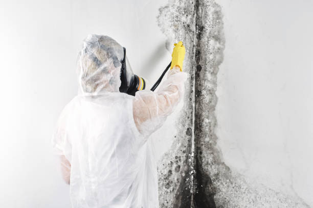 Water damage restoration experts